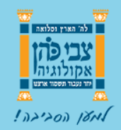 מכולות פסולת בניין
